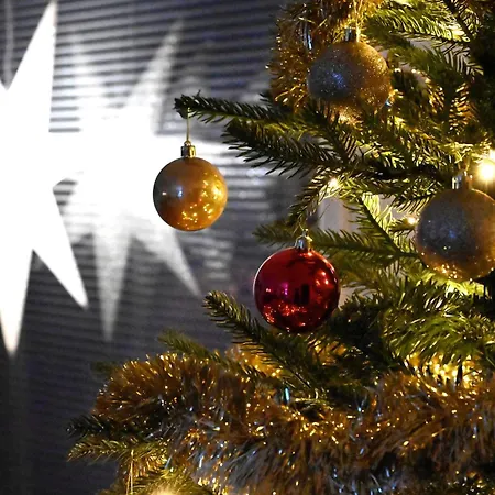 Lehti, Piha, Pysaekoeinti, Sauna