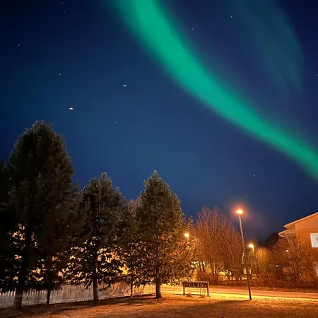 Lehti, Piha, Pysaekoeinti, Sauna Villa Rovaniemi