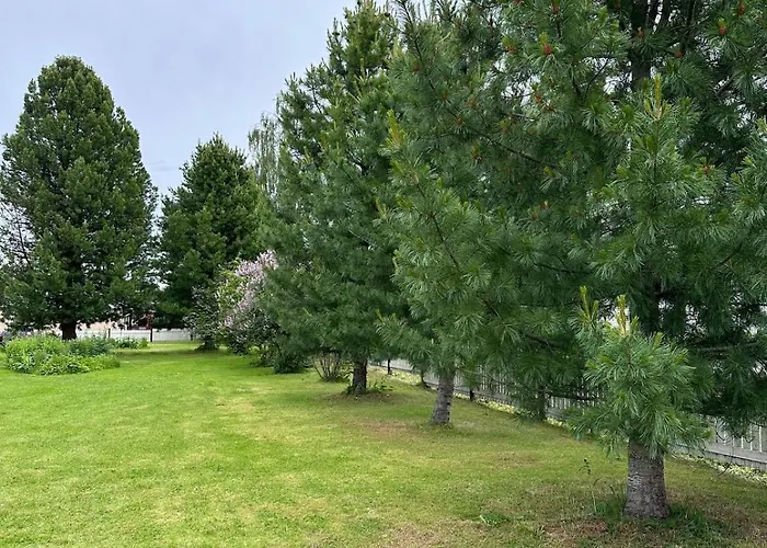 Lehti, Piha, Pysaekoeinti, Sauna *